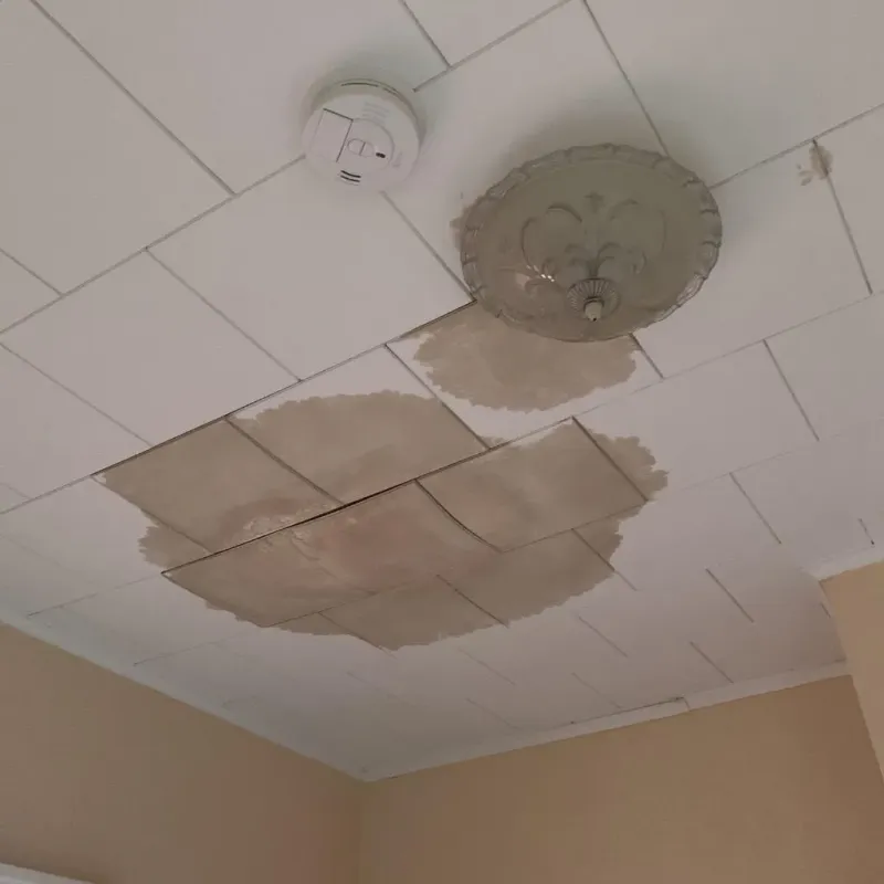 Ceiling Water Damage Repair in Shadeland, IN
