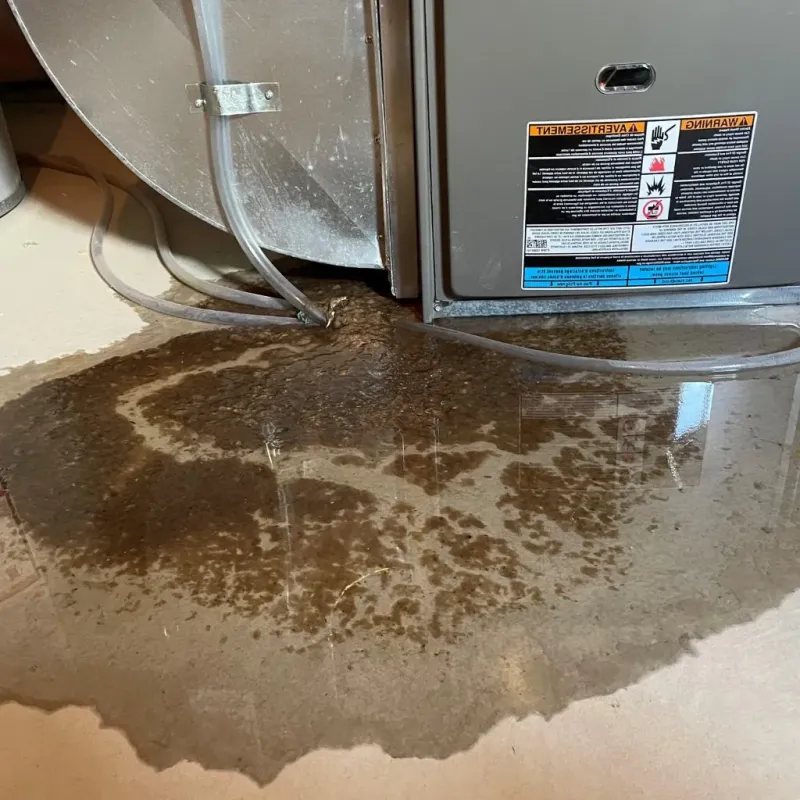 Pipe Burst and Leak Restoration in Shadeland, IN