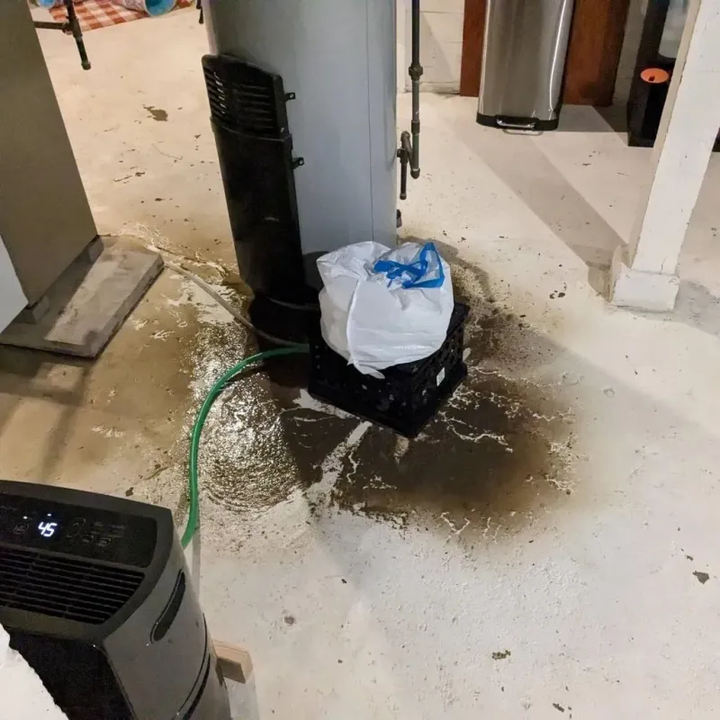 Sewage Backup Cleanup Service in Shadeland, IN